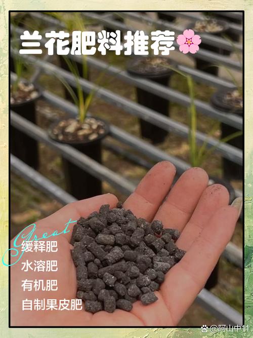 兰花可以施饼肥吗，饼肥水可以浇兰花吗，饼肥水浇兰花的优缺点？-第1张图片-优品飞百科