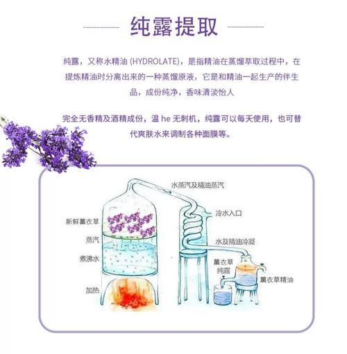 薰衣草用药有哪些作用,薰衣草有什么作用?-第4张图片-优品飞百科 薰衣草用药有哪些作用,薰衣草有什么作用?-第4张图片-优品飞百科