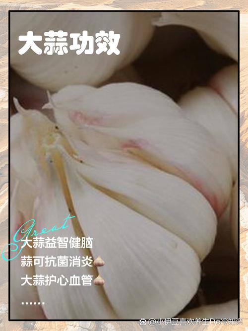 大蒜的功效与作用?洋葱的功效与作用?-第3张图片-优品飞百科 大蒜的功效与作用?洋葱的功效与作用?-第3张图片-优品飞百科