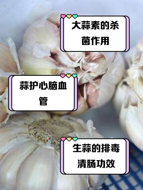 大蒜的功效与作用?洋葱的功效与作用?-第7张图片-优品飞百科 大蒜的功效与作用?洋葱的功效与作用?-第7张图片-优品飞百科