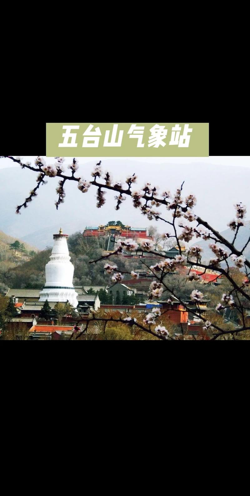 五台山15天天气预报？山西五台山天气预报最新7天？-第6张图片-优品飞百科