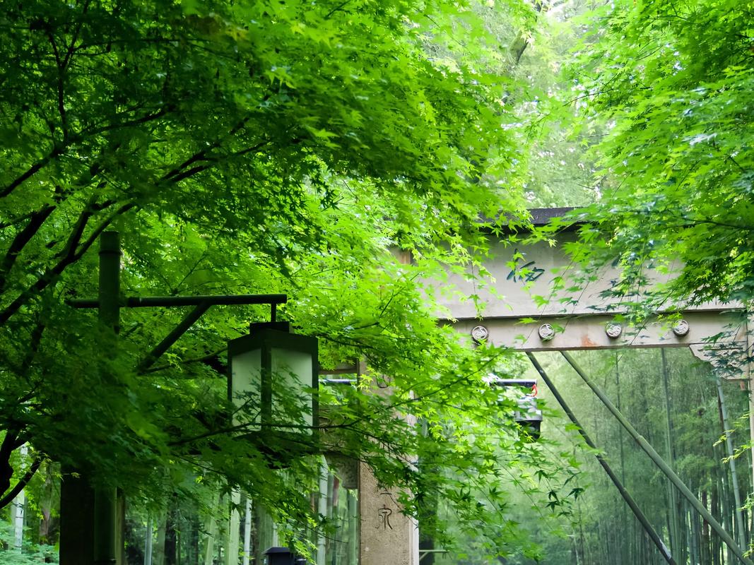 西湖区天气预报30天查询？西湖区天气预报30天查询最新？-第5张图片-优品飞百科