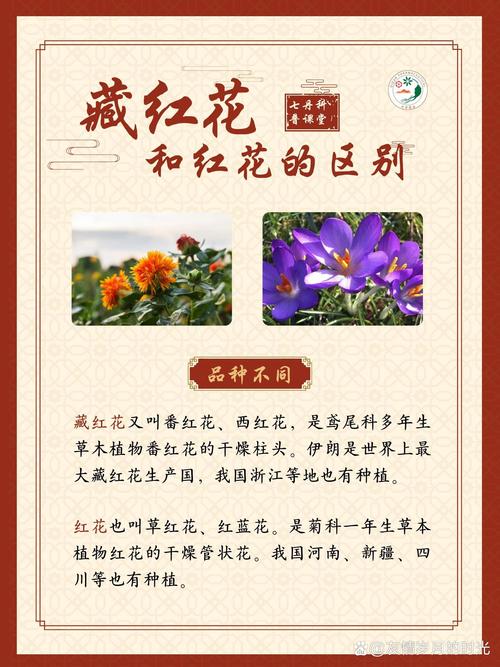 藏红花的功效与禁忌？藏红花的功效与禁忌人群？-第3张图片-优品飞百科