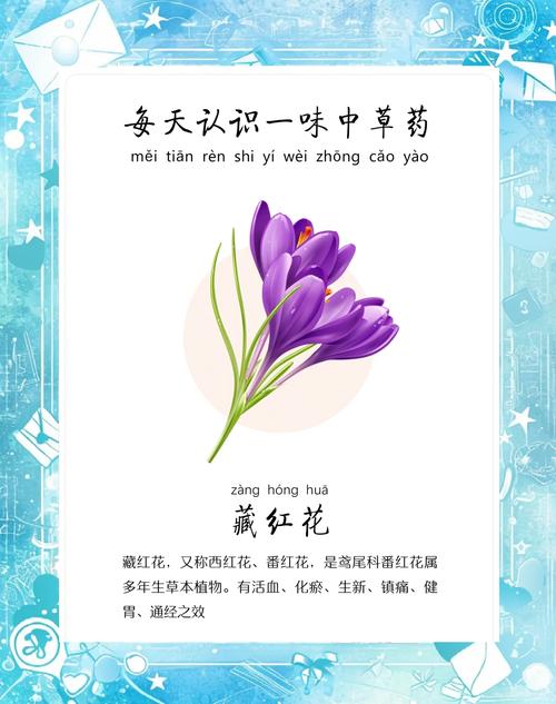 藏红花的功效与禁忌？藏红花的功效与禁忌人群？-第4张图片-优品飞百科