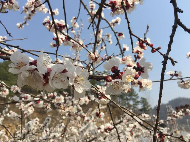 8月16日至8月22日天气预报？2021816天气预报？-第3张图片-优品飞百科