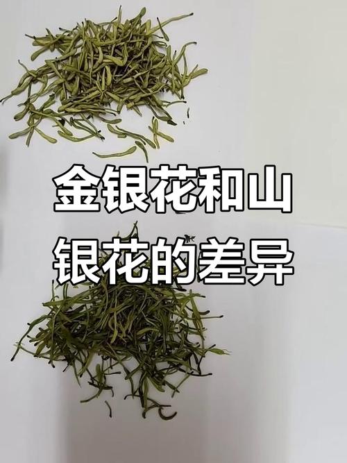 山银花和金银花的区别，山银花和金银花的区别在哪里？-第1张图片-优品飞百科
