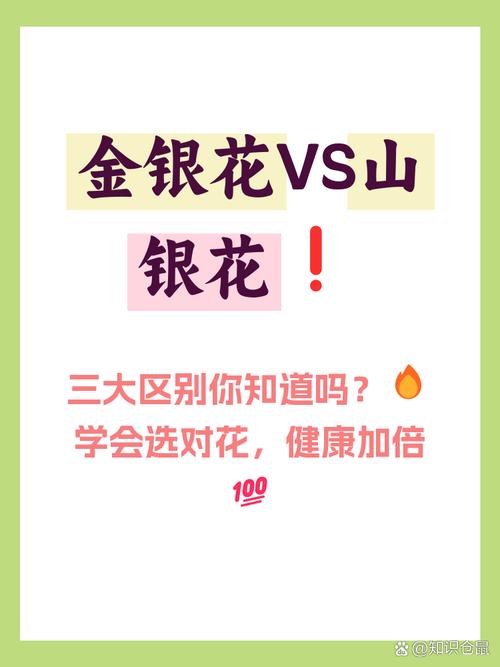 山银花和金银花的区别，山银花和金银花的区别在哪里？-第4张图片-优品飞百科