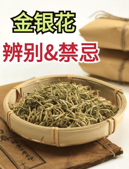 山银花和金银花的区别，山银花和金银花的区别在哪里？-第6张图片-优品飞百科