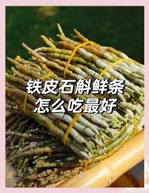 铁皮石斛怎么吃，铁皮石斛怎么吃是正确的-第1张图片-优品飞百科