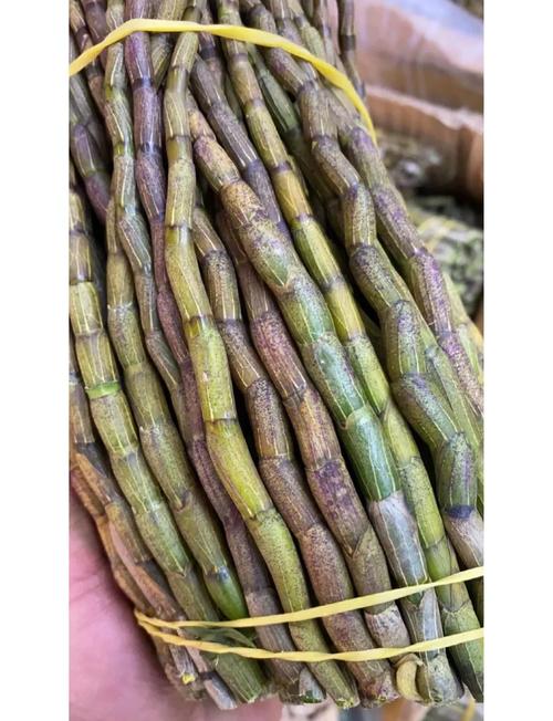 铁皮石斛怎么吃，铁皮石斛怎么吃是正确的-第2张图片-优品飞百科