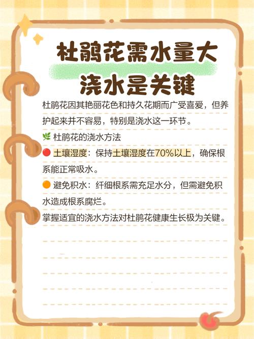 杜鹃浇水需要浇透吗，浇水加醋的比例？杜鹃用什么水浇？-第4张图片-优品飞百科