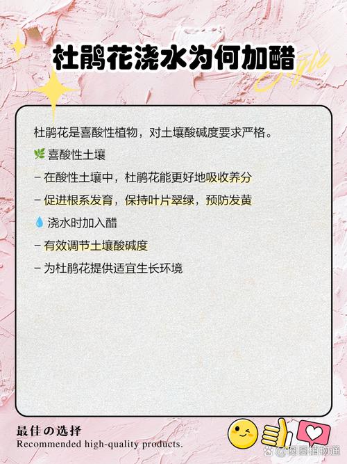 杜鹃浇水需要浇透吗，浇水加醋的比例？杜鹃用什么水浇？-第5张图片-优品飞百科