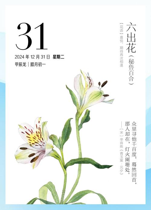 六出花的花语是什么，六出花的花期有多长-第2张图片-优品飞百科