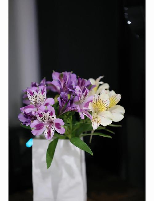 六出花的花语是什么，六出花的花期有多长-第6张图片-优品飞百科