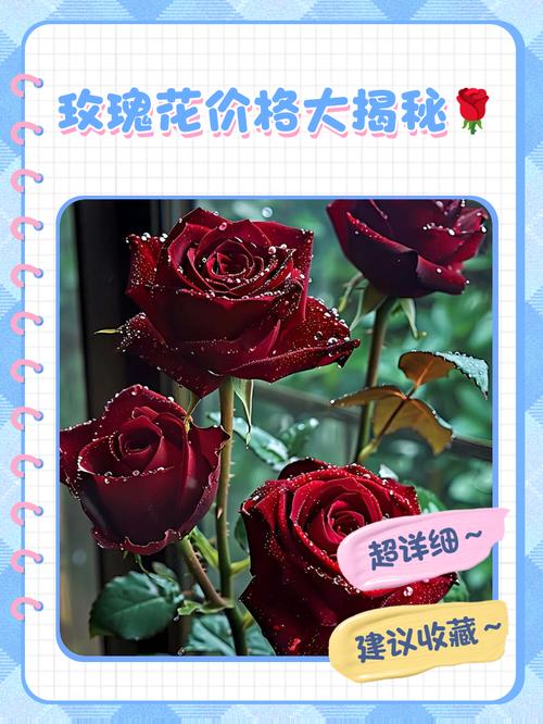 如何能买到新鲜的花，怎样买鲜花