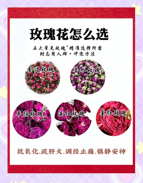 如何能买到新鲜的花，怎样买鲜花-第4张图片-优品飞百科