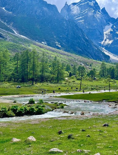 唐家河天气预报，青川县唐家河天气预报？-第3张图片-优品飞百科