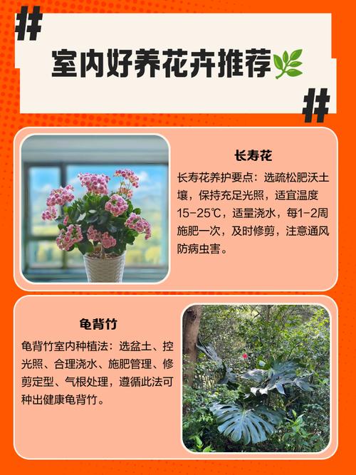 山丹丹花的功效与作用，山丹丹花百科？-第2张图片-优品飞百科