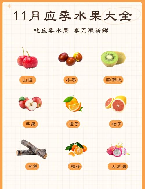 11月适合吃什么水果,有哪些水果?11月吃什么水果的季节?-第7张图片-优品飞百科 11月适合吃什么水果,有哪些水果?11月吃什么水果的季节?-第7张图片-优品飞百科