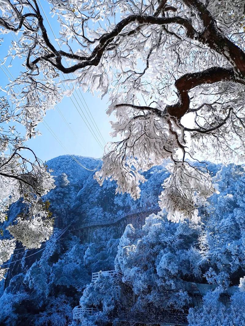 清远连山天气预报，清远连山天气预报一周 7天查询？-第4张图片-优品飞百科