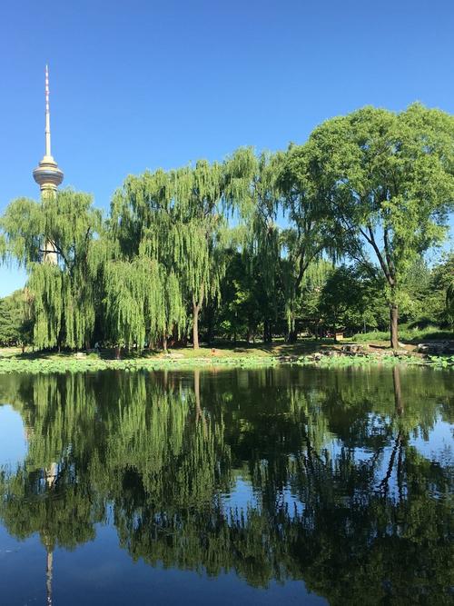 北京市海淀天气预报，北京市海淀天气预报一周？-第2张图片-优品飞百科