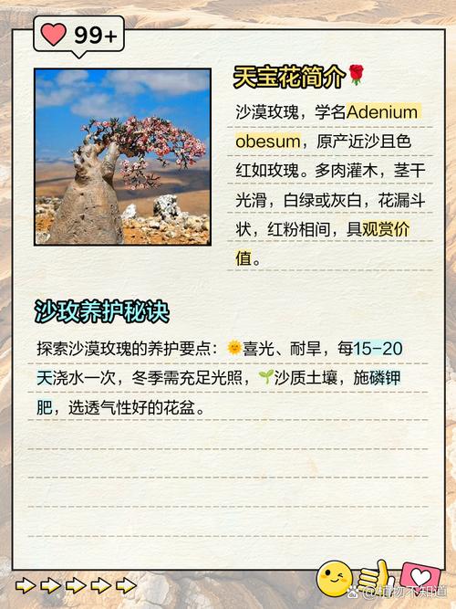 沙漠玫瑰的花语和传说,沙漠玫瑰的花语是什么?-第4张图片-优品飞百科 沙漠玫瑰的花语和传说,沙漠玫瑰的花语是什么?-第4张图片-优品飞百科