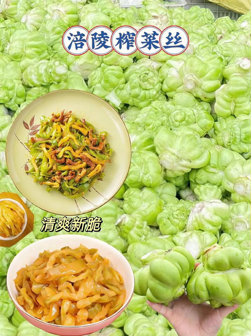 榨菜的功效与作用？乌江榨菜的功效与作用？-第1张图片-优品飞百科