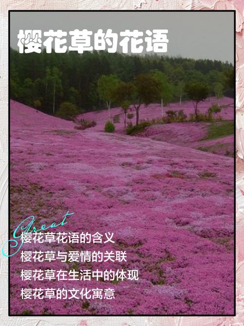 樱草的花语及传说，樱草 花语？-第1张图片-优品飞百科