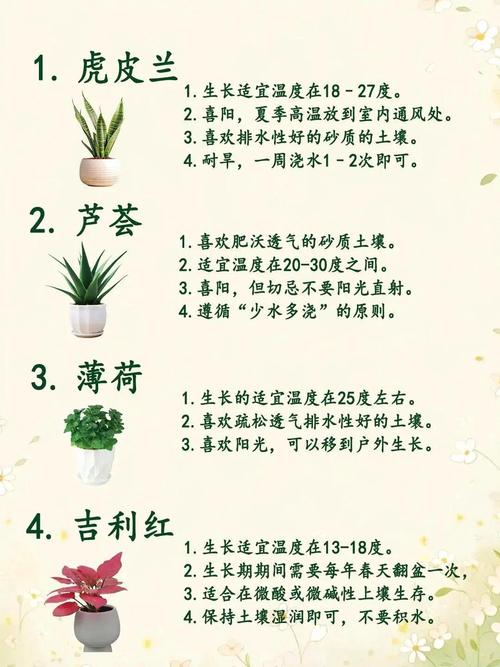 常见室内绿色植物的功效，室内绿色植物的功能-第5张图片-优品飞百科