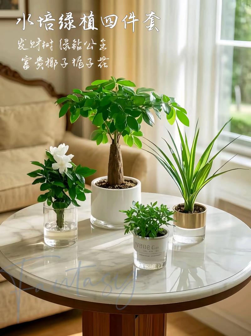 常见室内绿色植物的功效，室内绿色植物的功能-第7张图片-优品飞百科