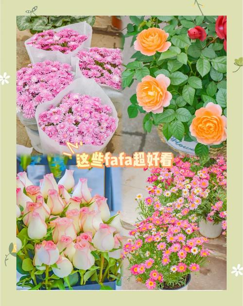 牡丹江适合养什么花，市花和市树是什么，牡丹江市有牡丹花吗-第2张图片-优品飞百科