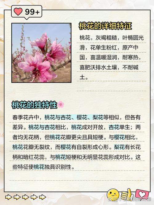 桃花是什么颜色，桃花什么季节开花？桃花是什么颜色的花？