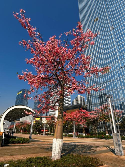 湘西天气预报，怀化天气预报-第3张图片-优品飞百科