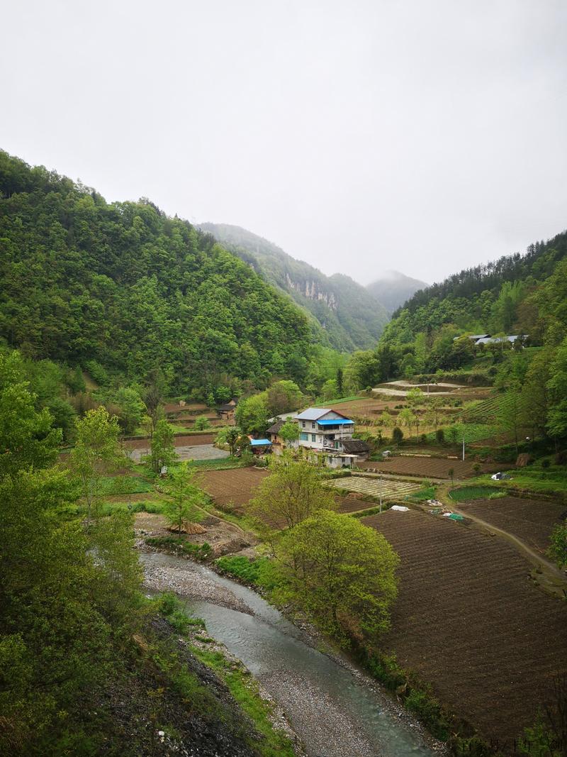 大支坪天气预报，大支坪天气预报24小时-第1张图片-优品飞百科