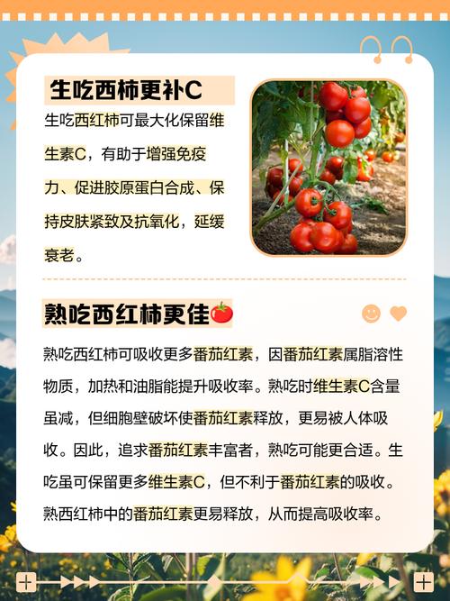 西红柿的营养价值，西红柿生吃好还是熟吃好，西红柿生吃好?还是熟吃好?-第4张图片-优品飞百科