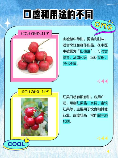 山楂介绍,山楂图片?山楂的 图片?-第6张图片-优品飞百科 山楂介绍,山楂图片?山楂的 图片?-第6张图片-优品飞百科