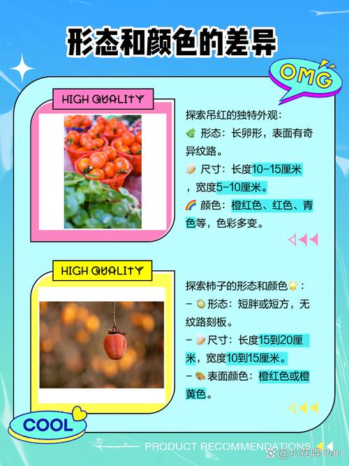 吊红和柿子区别，吊红柿子的功效与作用，吊红柿子怎么吃-第3张图片-优品飞百科