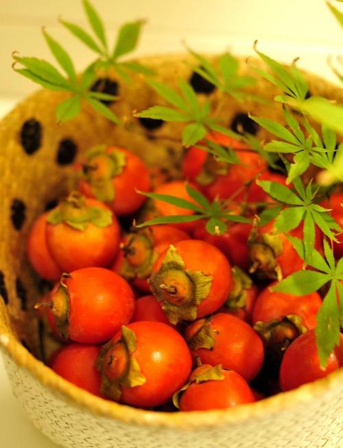 吊红和柿子区别，吊红柿子的功效与作用，吊红柿子怎么吃-第4张图片-优品飞百科