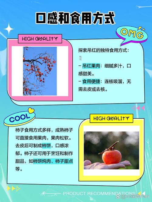 吊红和柿子区别，吊红柿子的功效与作用，吊红柿子怎么吃-第5张图片-优品飞百科