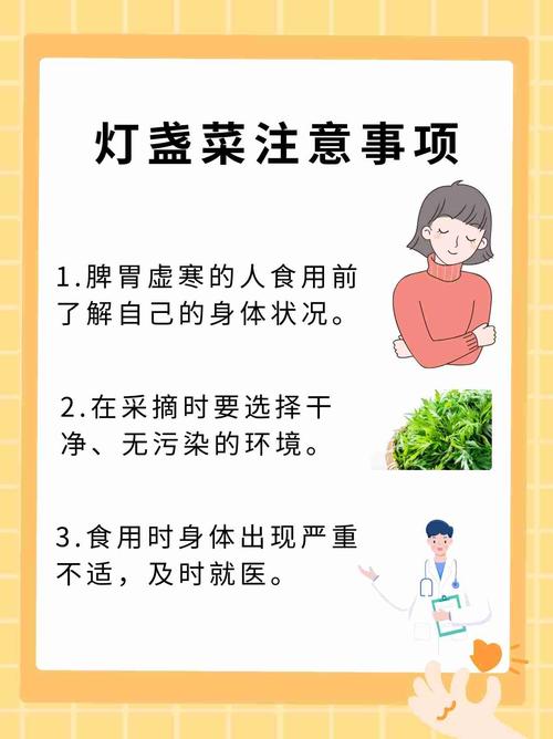 铜钱草可以泡水喝吗，要晒干吗，铜钱草可以全部浸泡在水里中植吗?？-第2张图片-优品飞百科