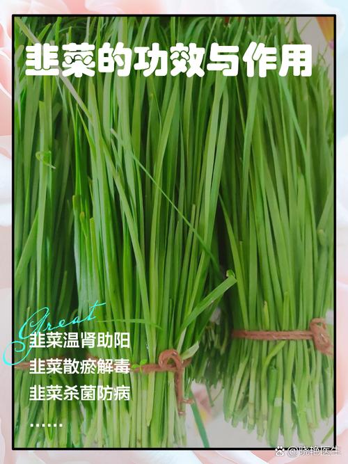 韭菜的功效与作用，韭菜的营养价值及功效？韭菜的功效与作用害处？-第2张图片-优品飞百科
