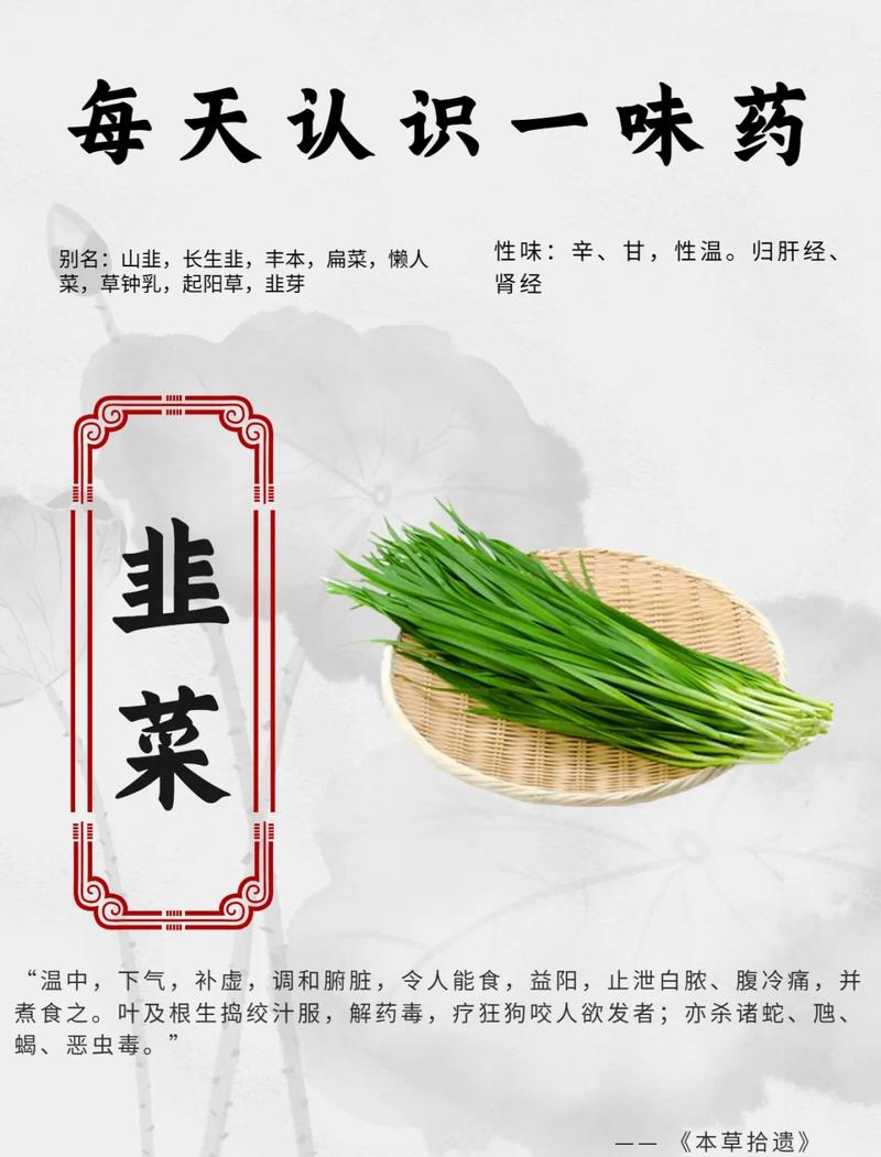 韭菜的功效与作用，韭菜的营养价值及功效？韭菜的功效与作用害处？-第4张图片-优品飞百科
