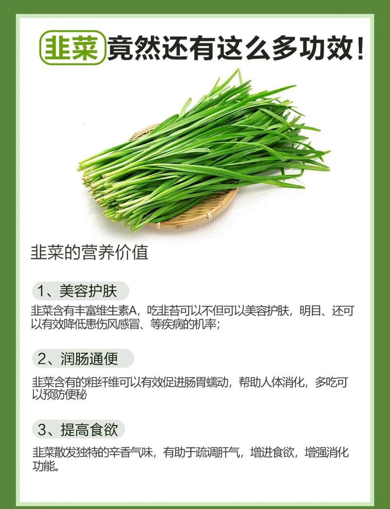 韭菜的功效与作用，韭菜的营养价值及功效？韭菜的功效与作用害处？-第5张图片-优品飞百科