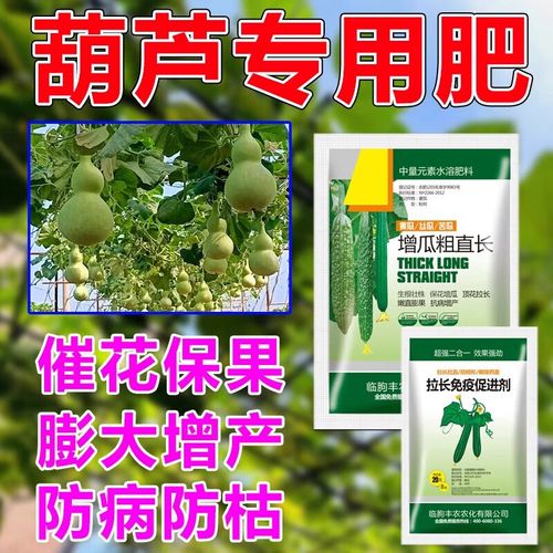 葫芦苗不长是因为什么，葫芦苗用什么肥料？葫芦苗只长叶不长高？-第5张图片-优品飞百科