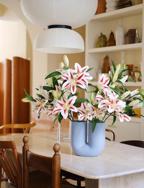 鲜花与居室布置？室内鲜花布置？