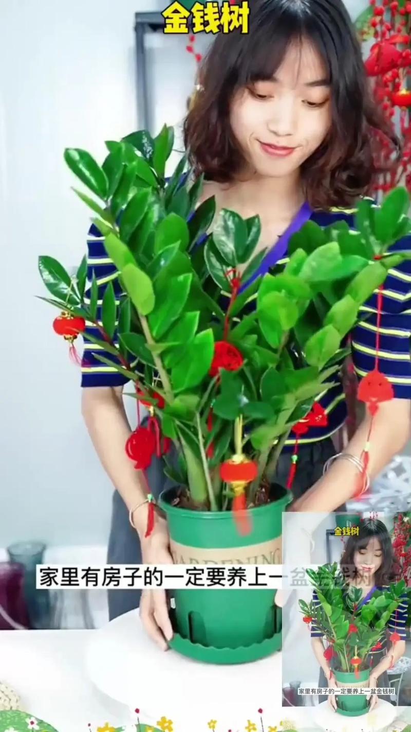 鲜花与居室布置？室内鲜花布置？-第7张图片-优品飞百科