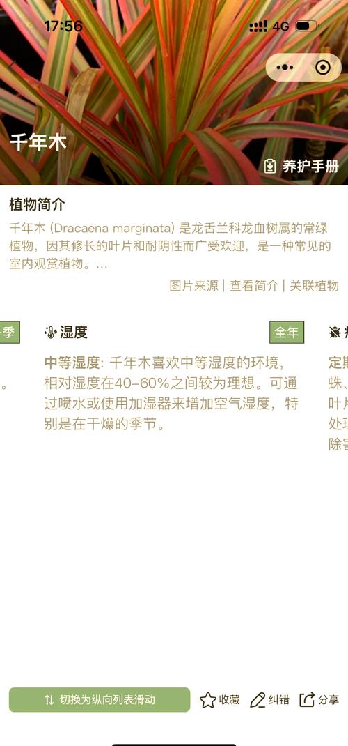 千年木的养殖方法和注意事项，千年木的养殖方法和注意事项有哪些?适合新手吗?？