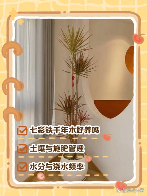 千年木的养殖方法和注意事项，千年木的养殖方法和注意事项有哪些?适合新手吗?？-第5张图片-优品飞百科