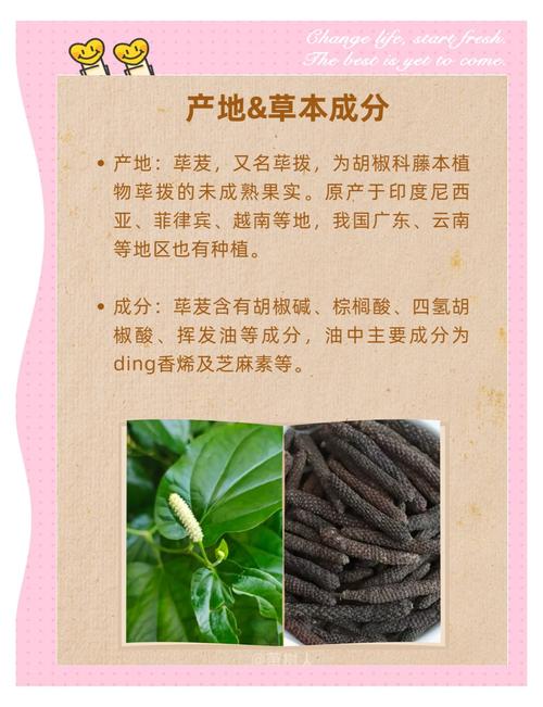 蒌叶的功效？蒌叶的功效与作用？-第2张图片-优品飞百科