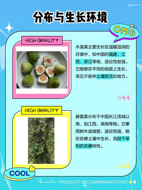 薜荔果的功效与作用，薜荔果的功效与作用果肉的功效？-第4张图片-优品飞百科